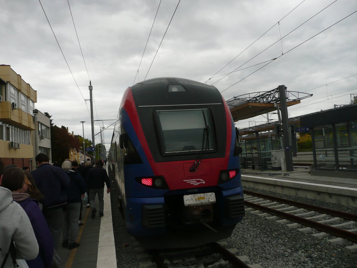P1100549.JPG