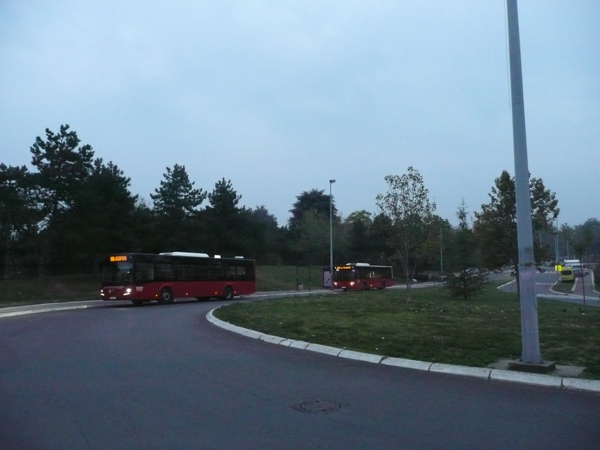 P1100589.JPG