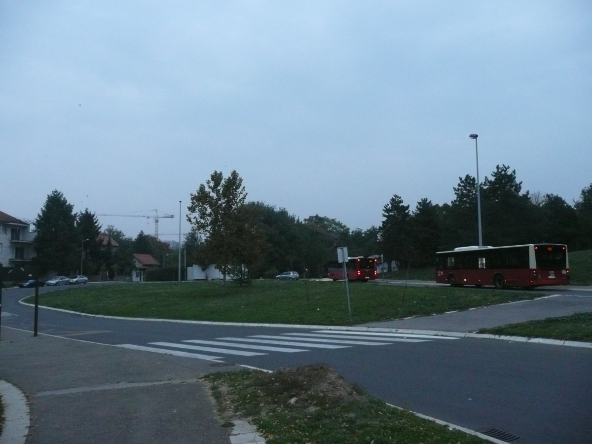 P1100597.JPG