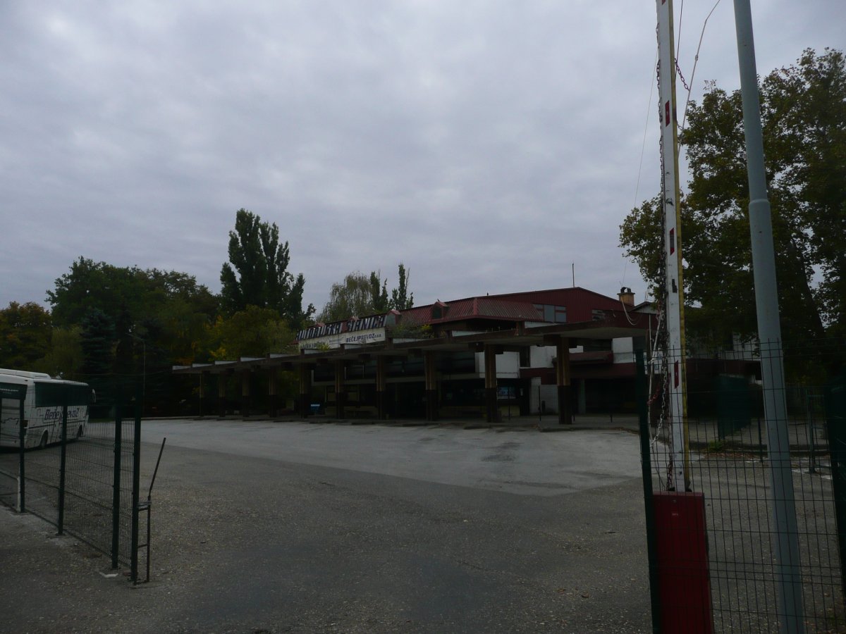 P1100636.JPG