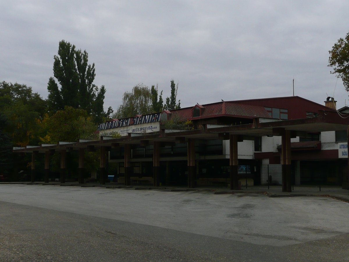 P1100637.JPG