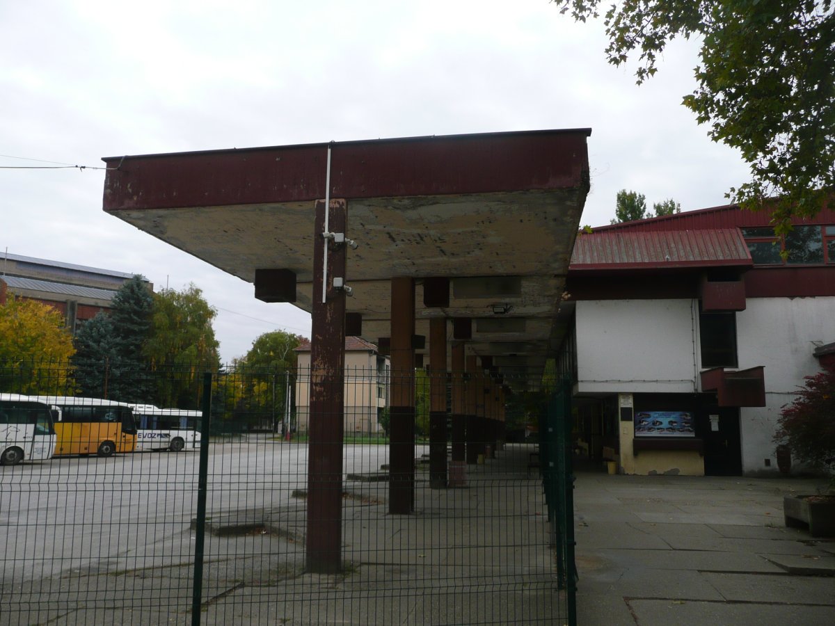 P1100640.JPG