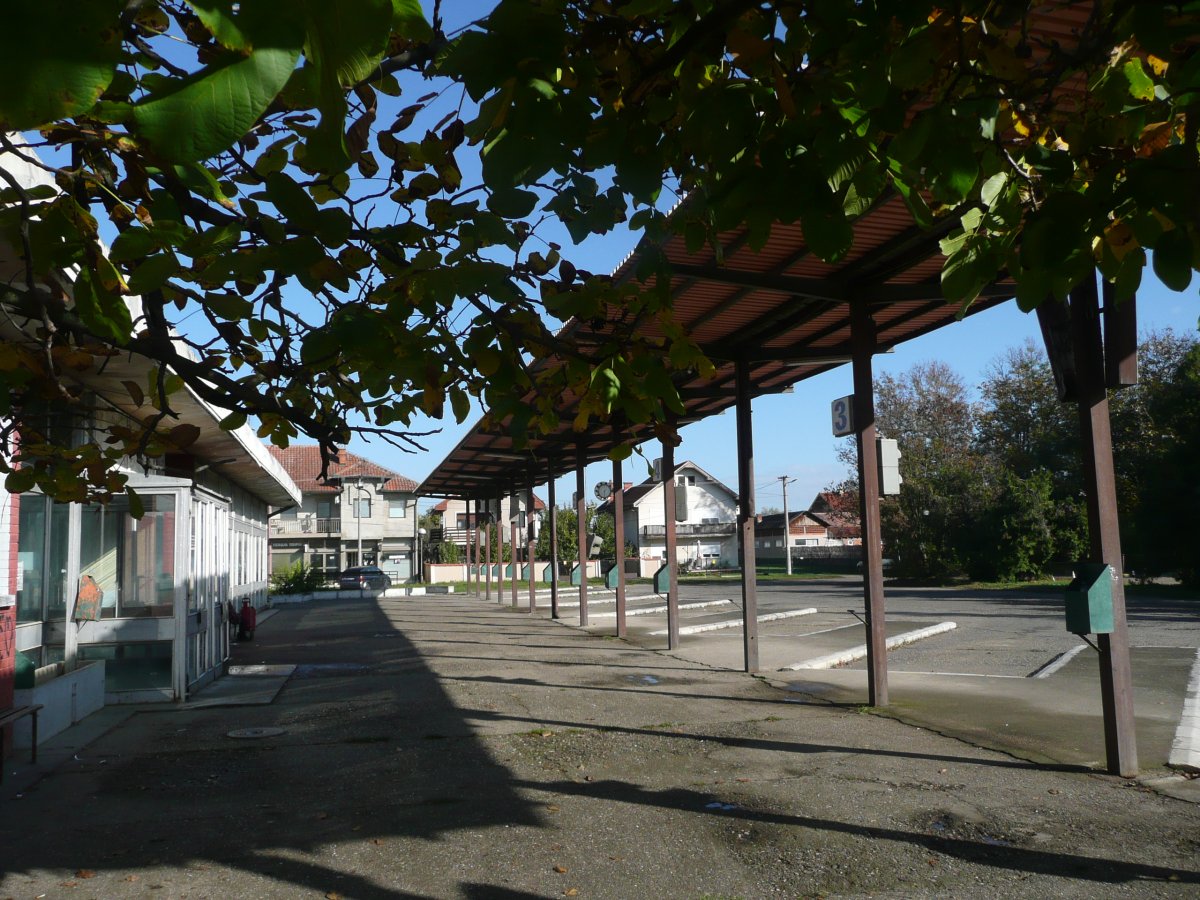 P1100667.JPG