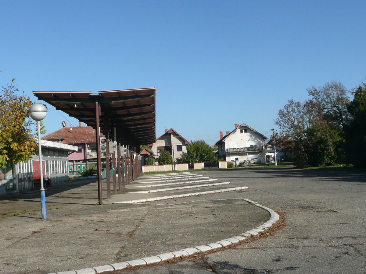 P1100669.JPG