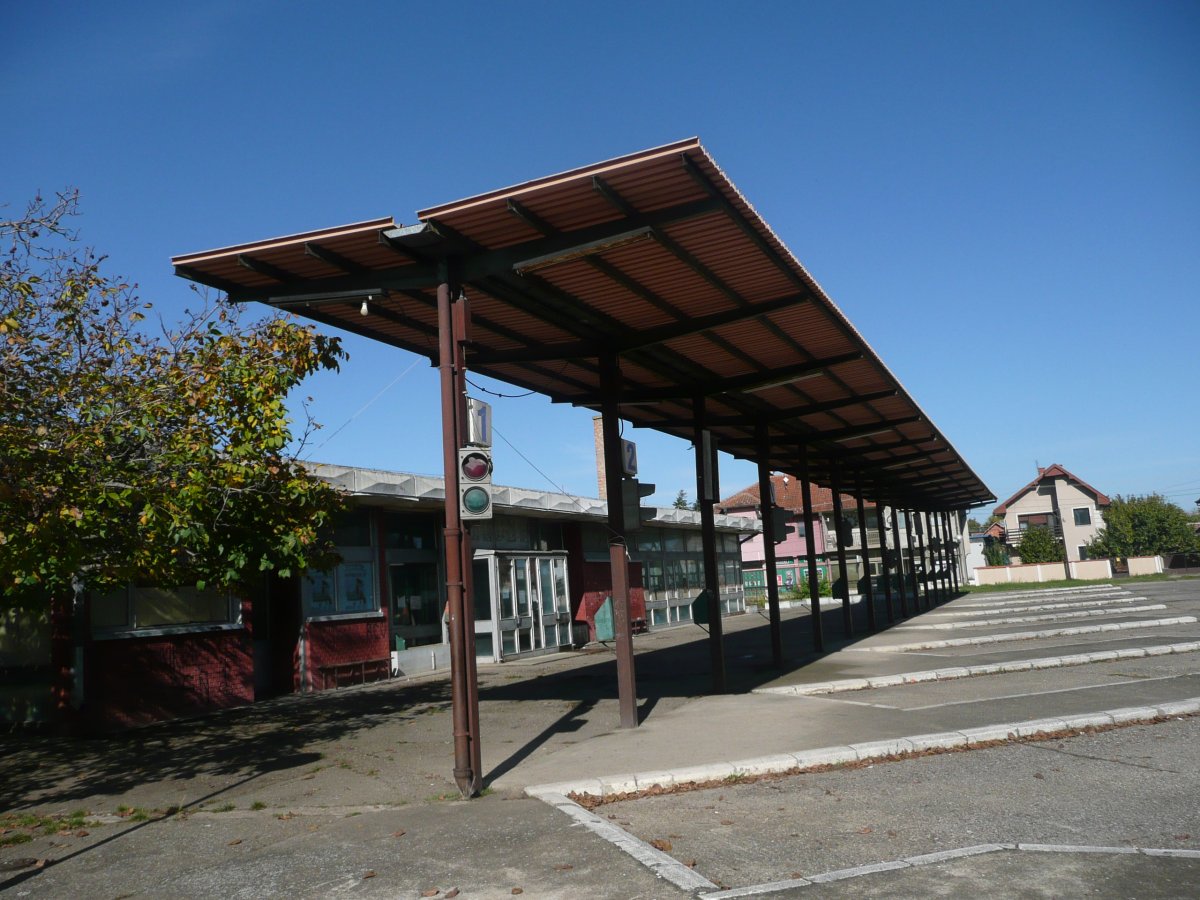 P1100675.JPG