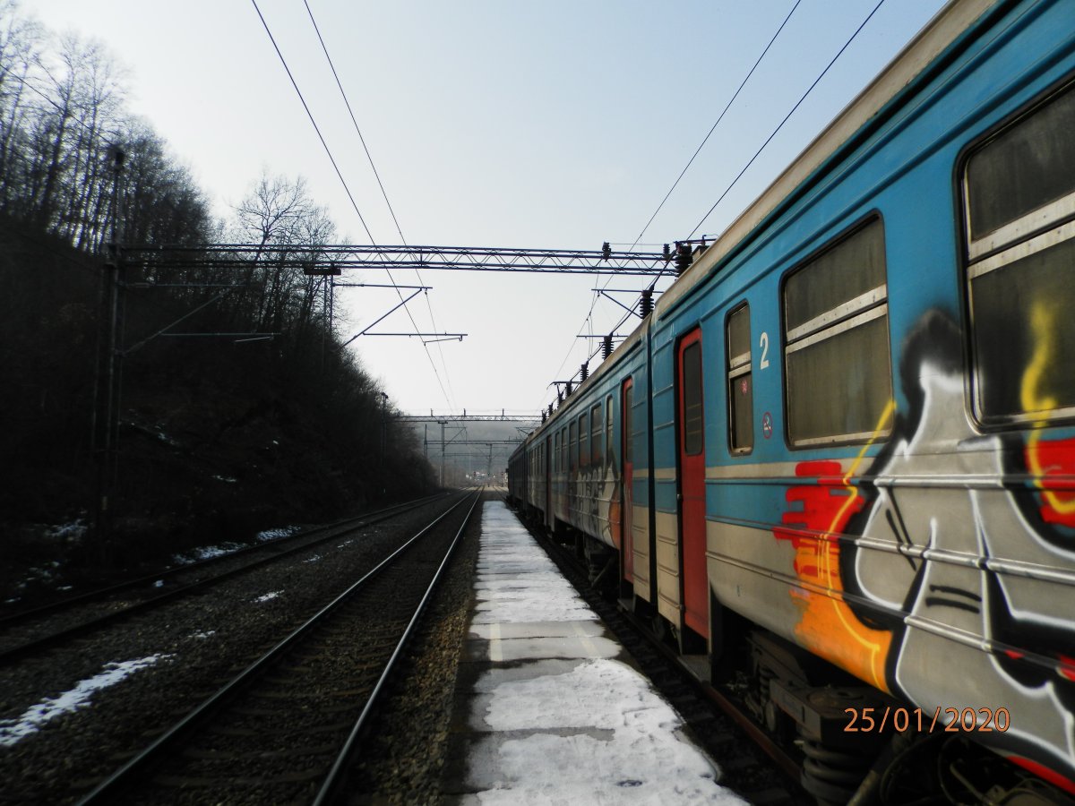 P1250013.JPG