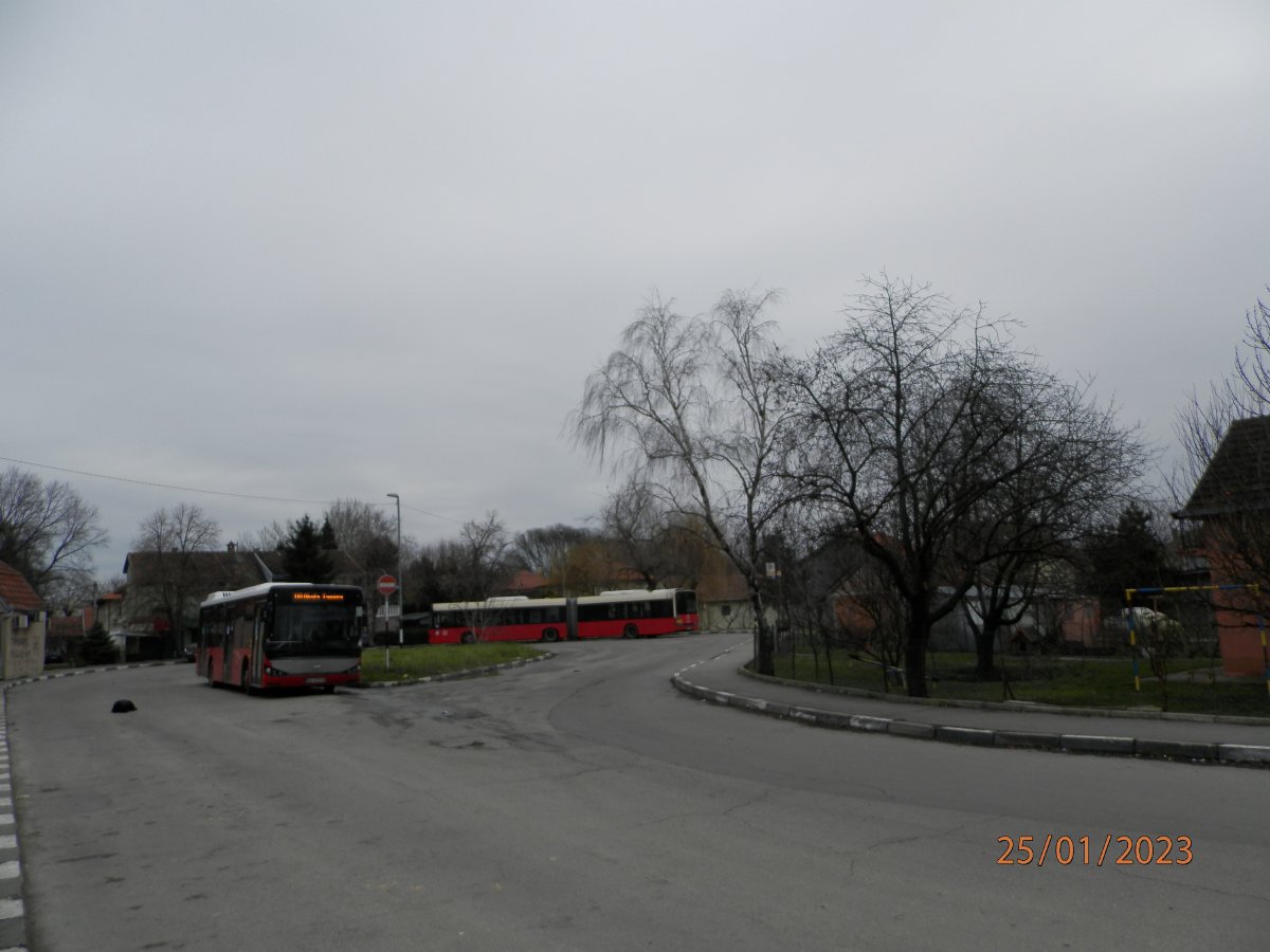 P1251485.JPG
