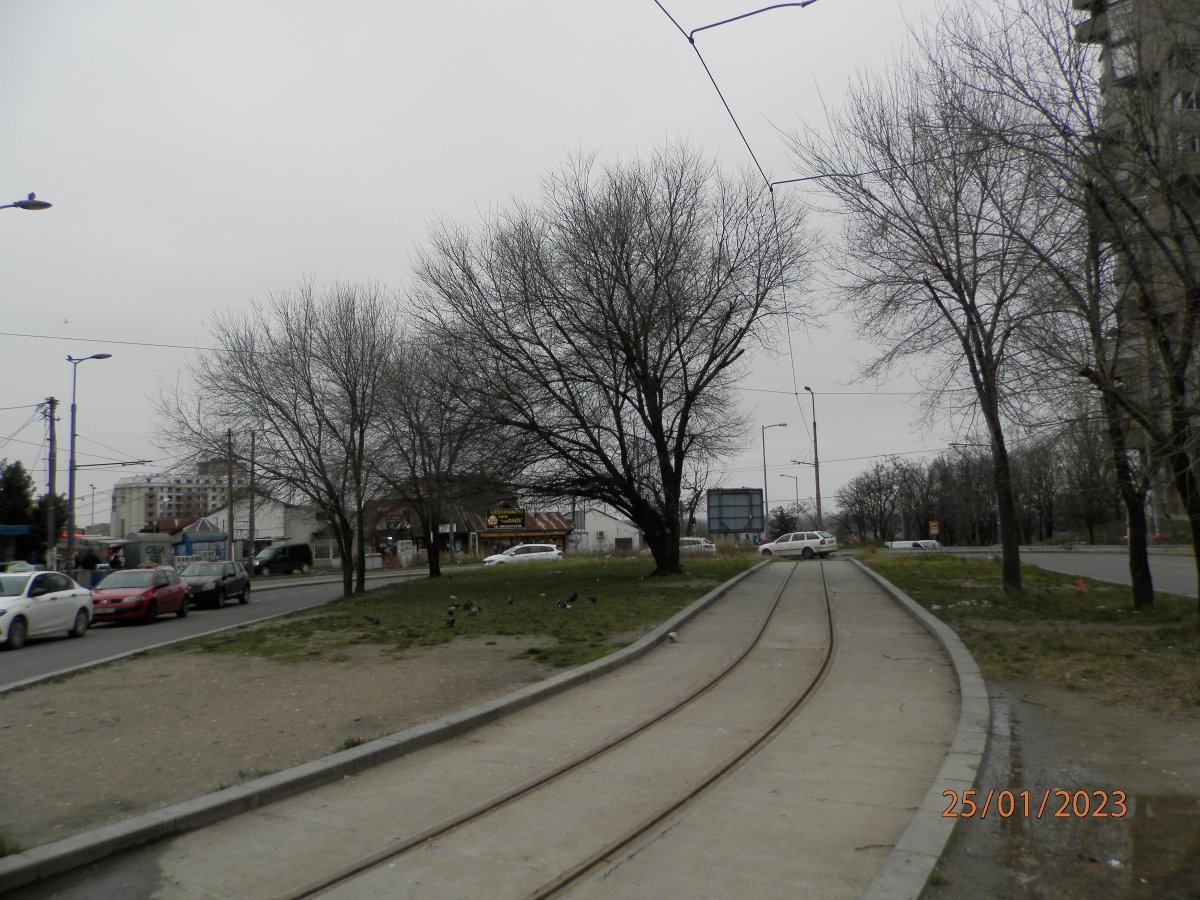 P1251490.JPG