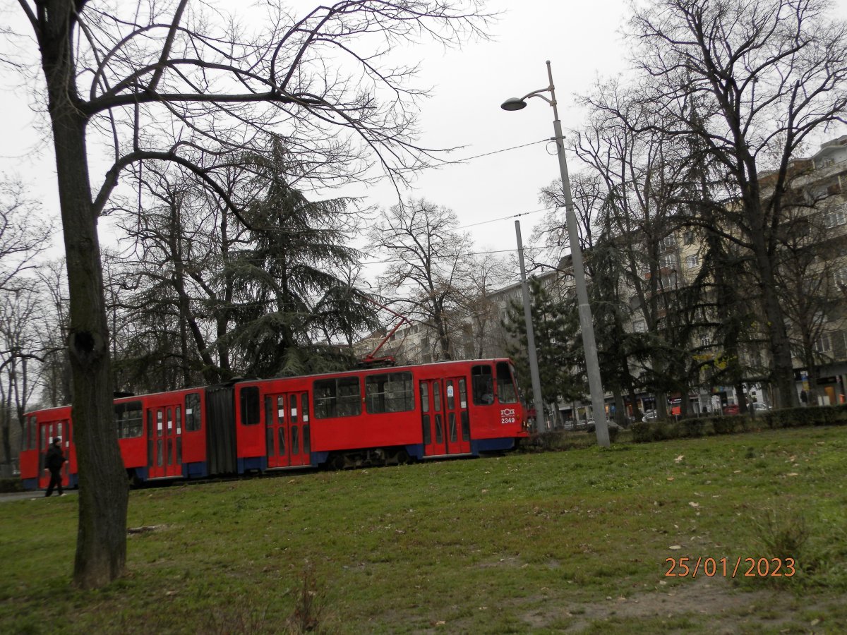 P1251513.JPG