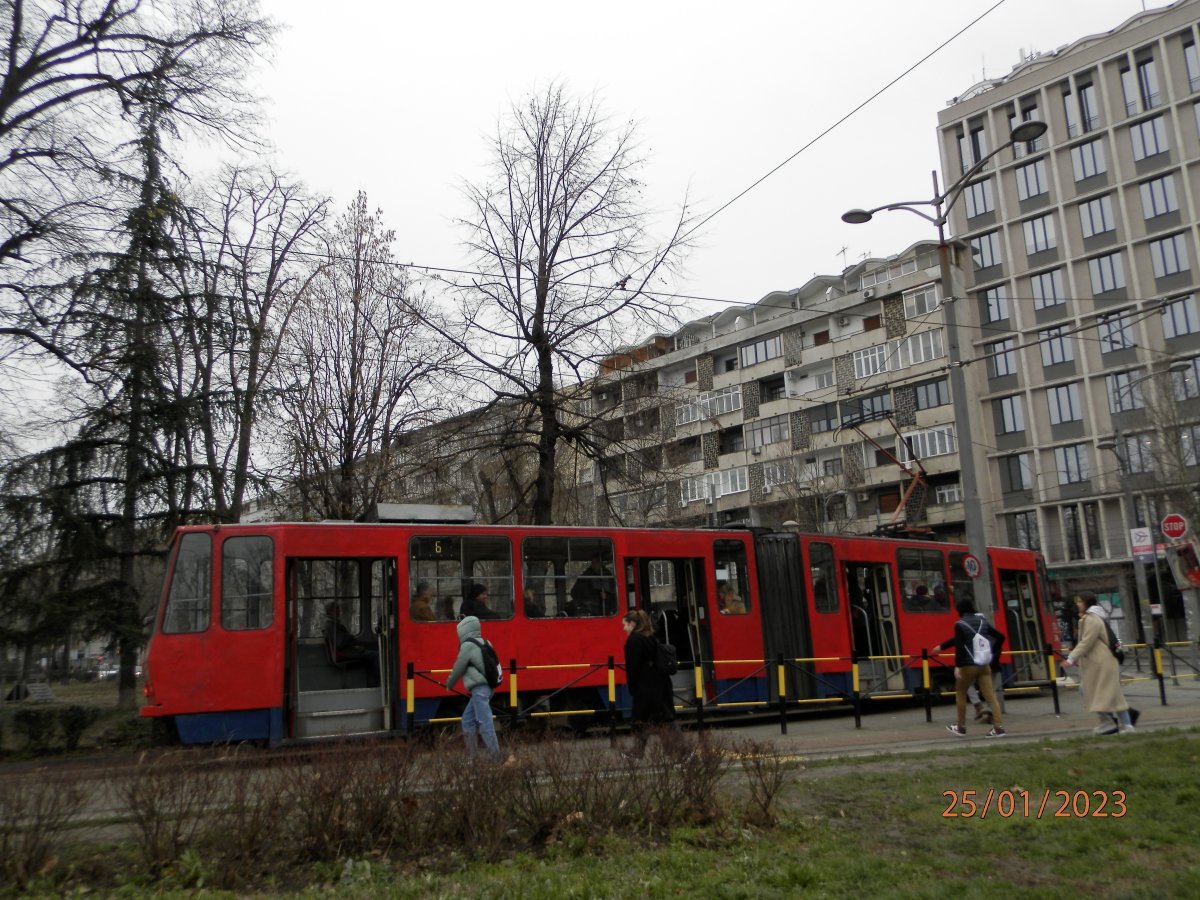 P1251516.JPG