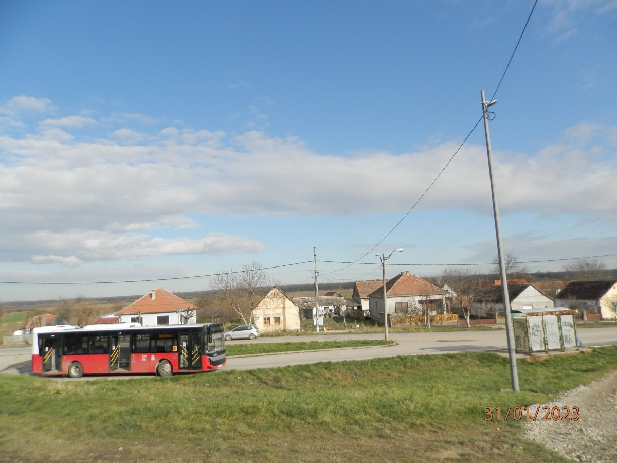 P1311525.JPG