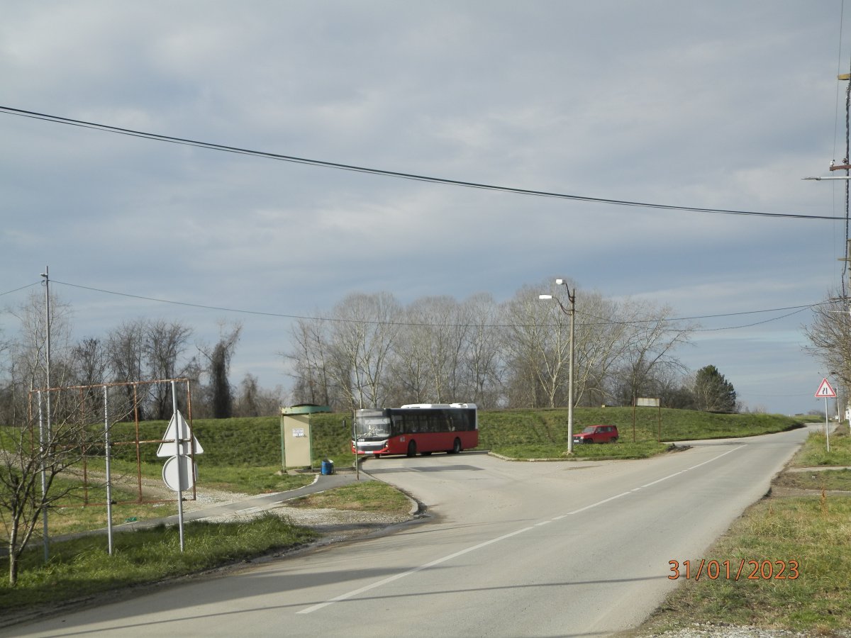 P1311526.JPG