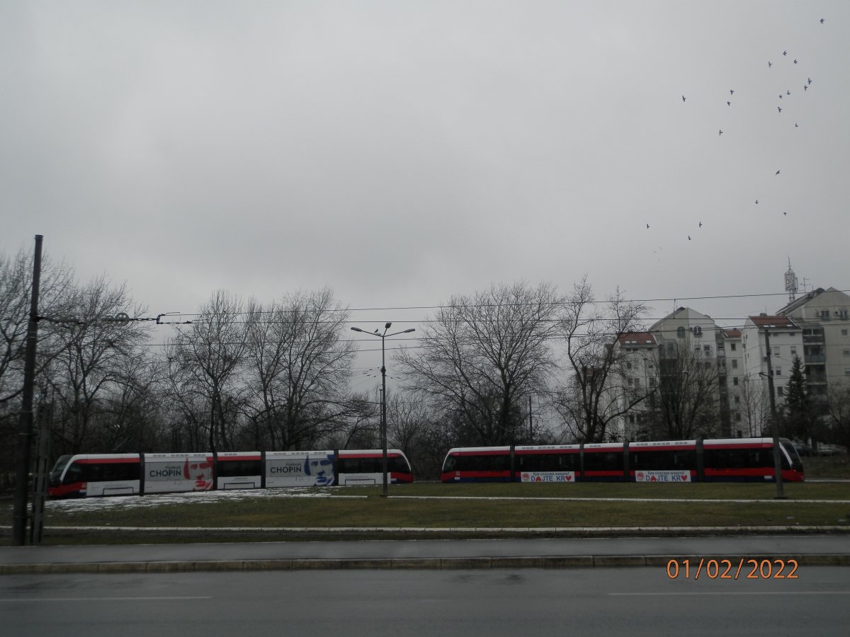 P2010070.JPG