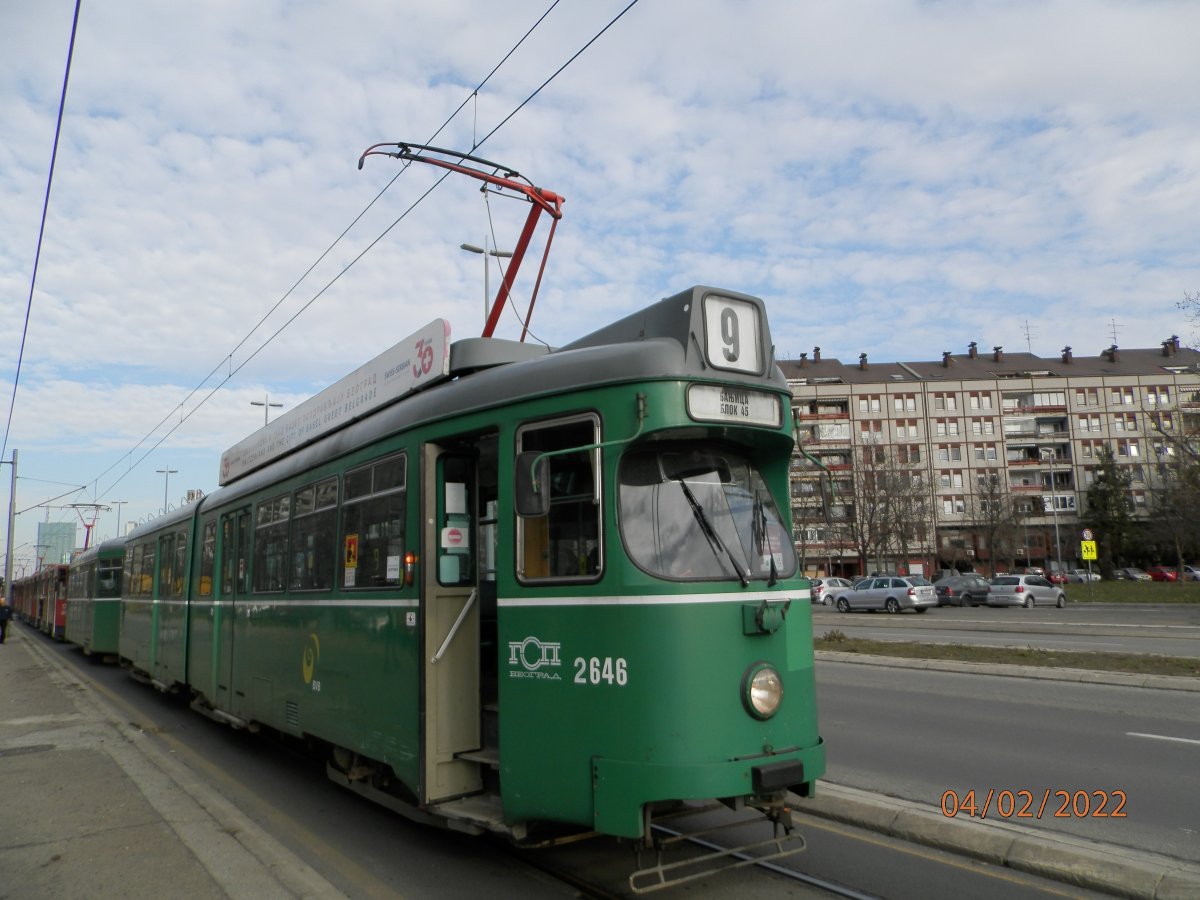P2040012.JPG