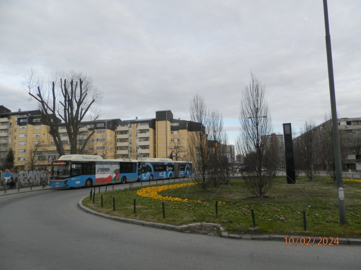 P2102459.JPG