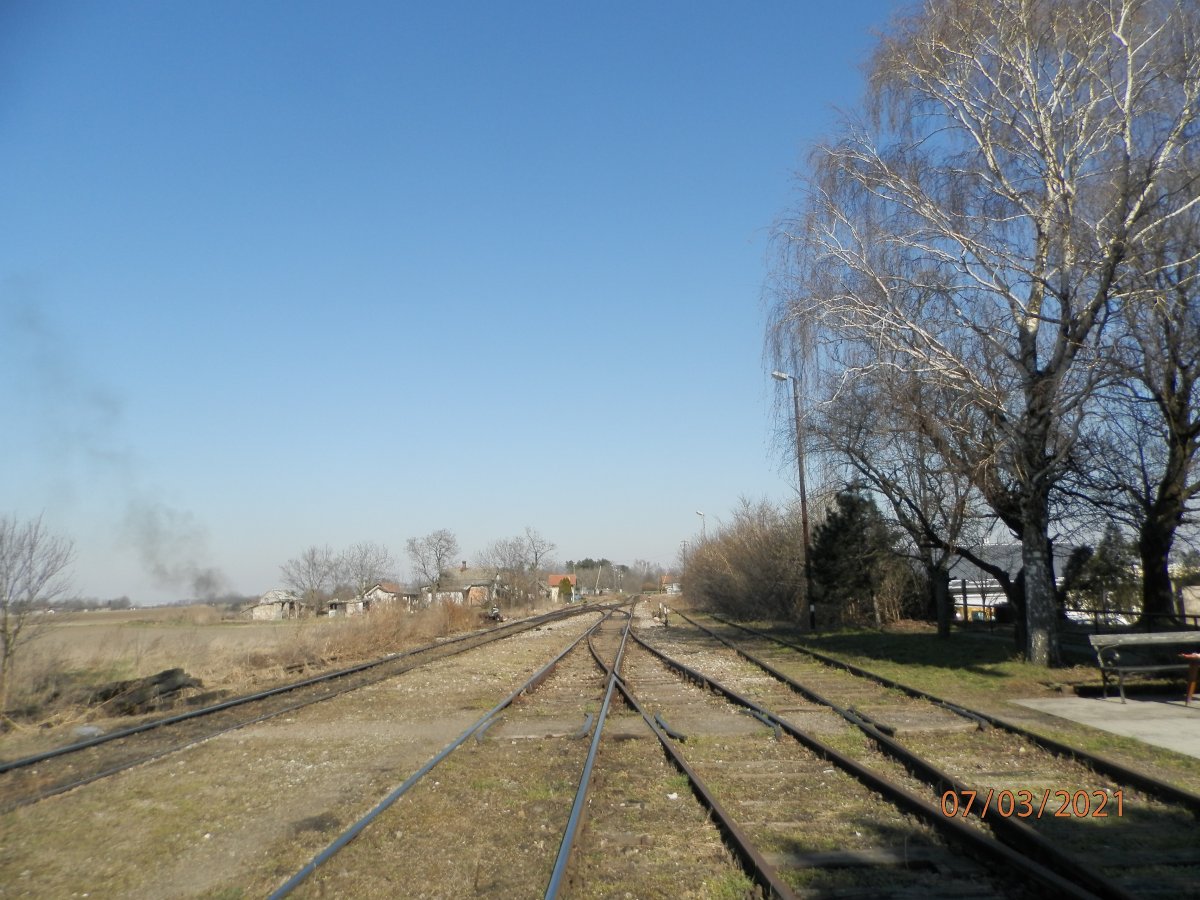 P3070004.JPG