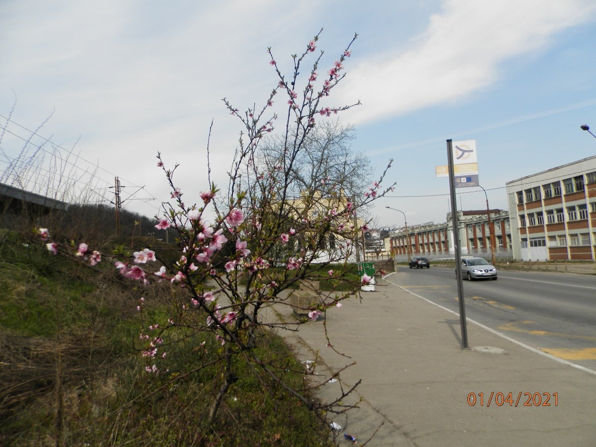 P4010012.JPG