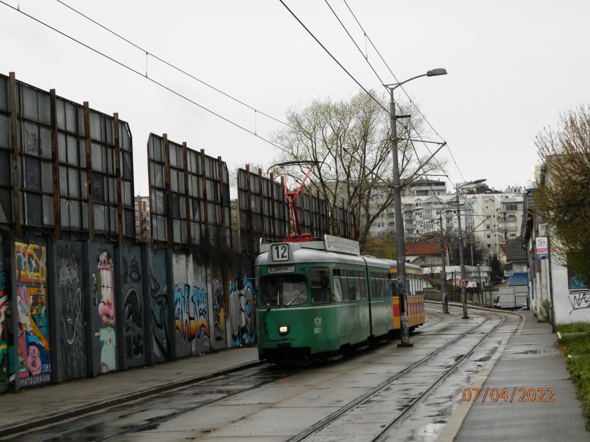 P4070014.JPG