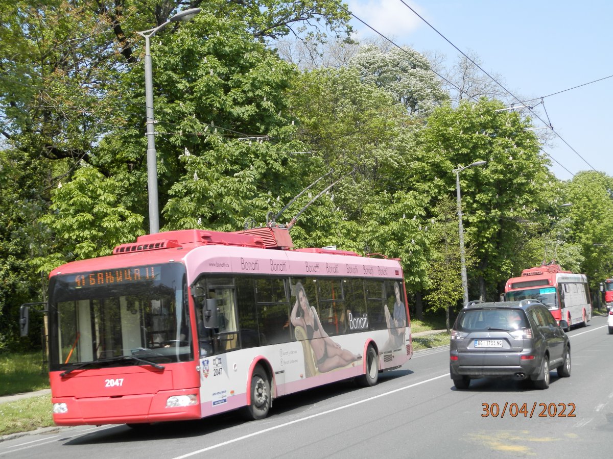 P4300042.JPG
