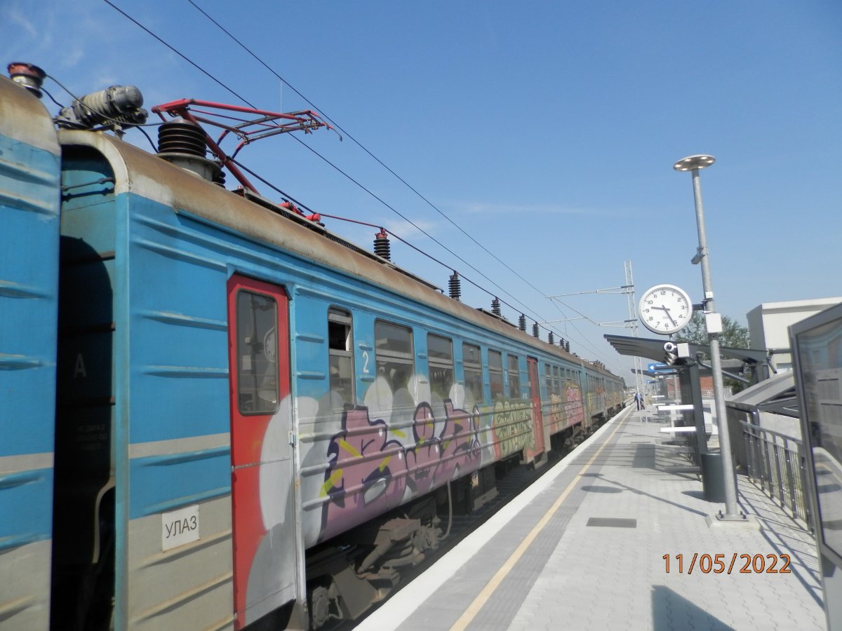 P5110001.JPG