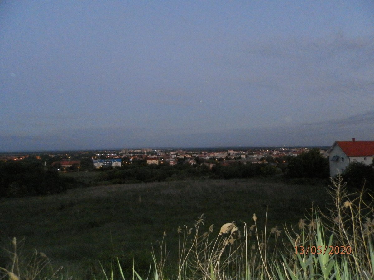 P5130023.JPG