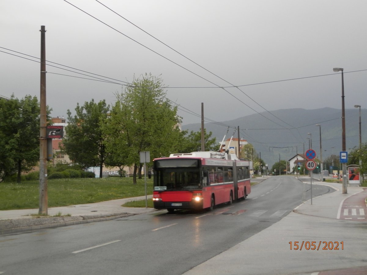 P5150045.JPG