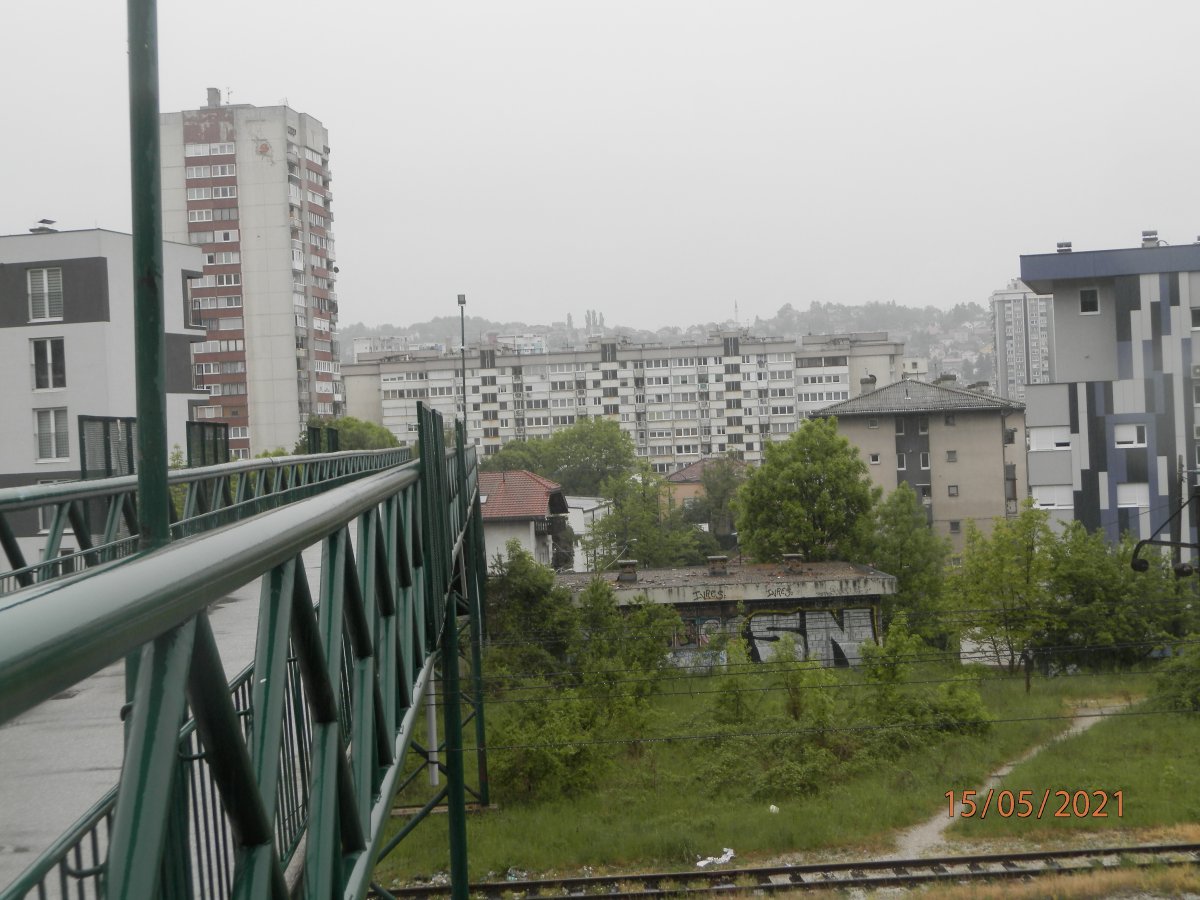 P5150063.JPG