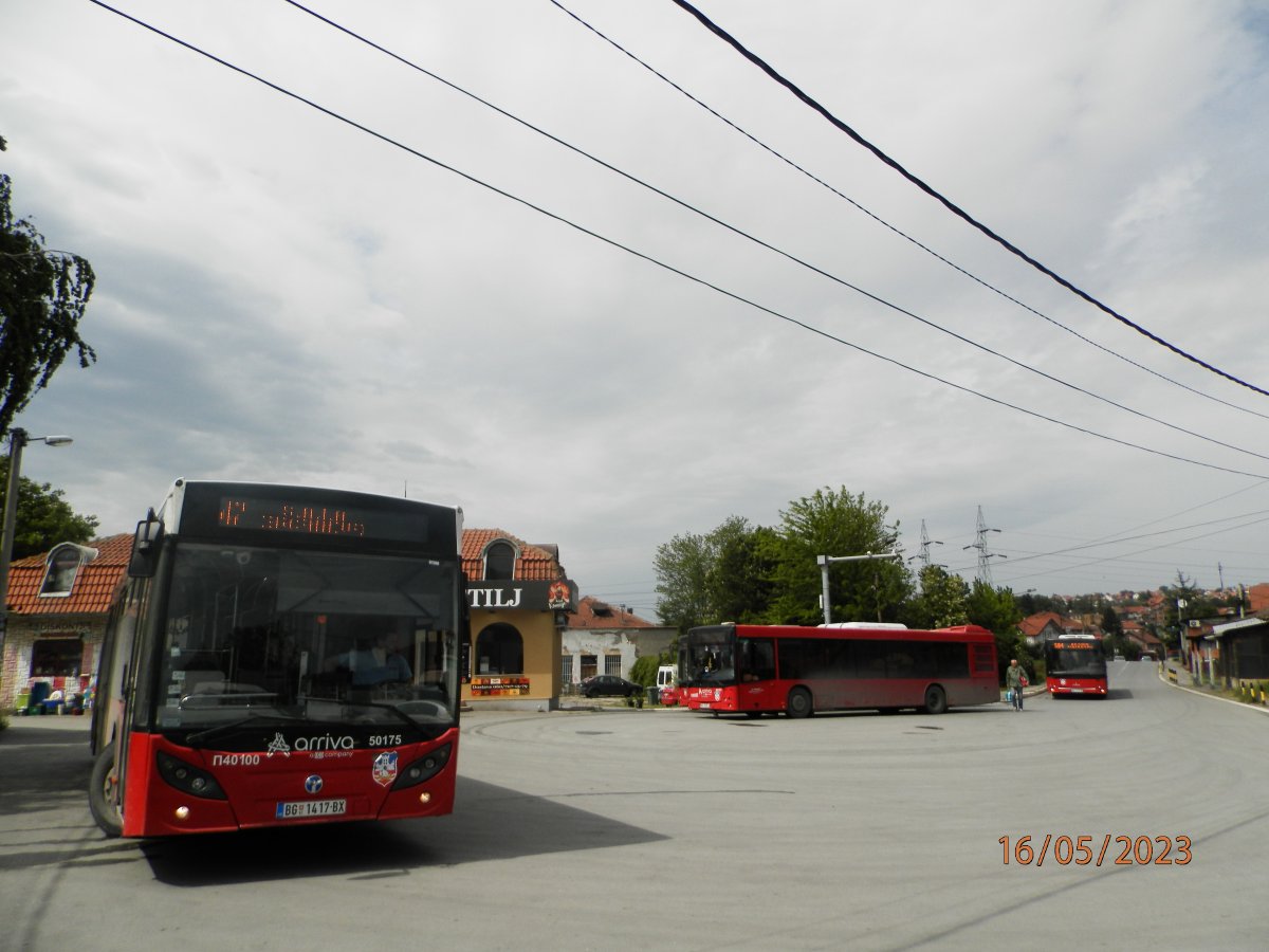 P5161867.JPG