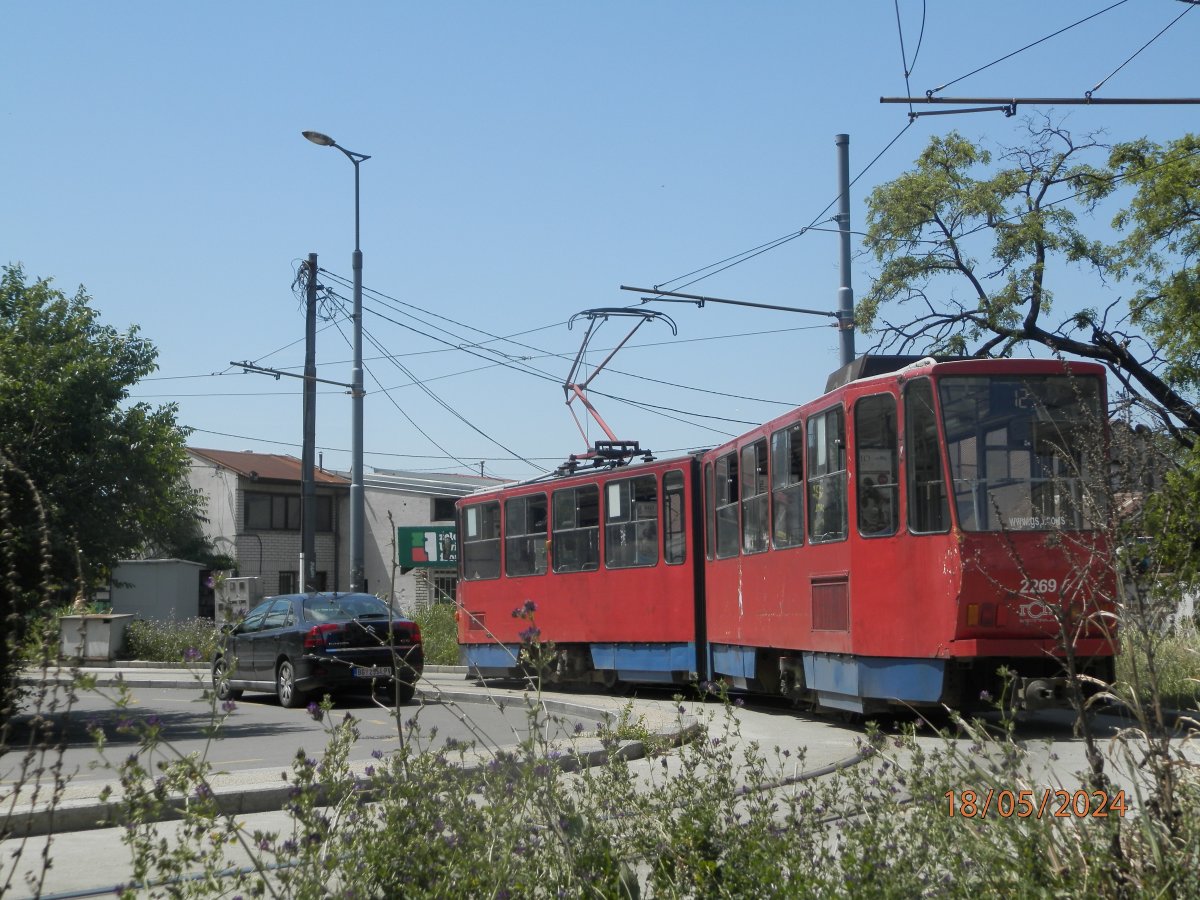 P5183033.JPG