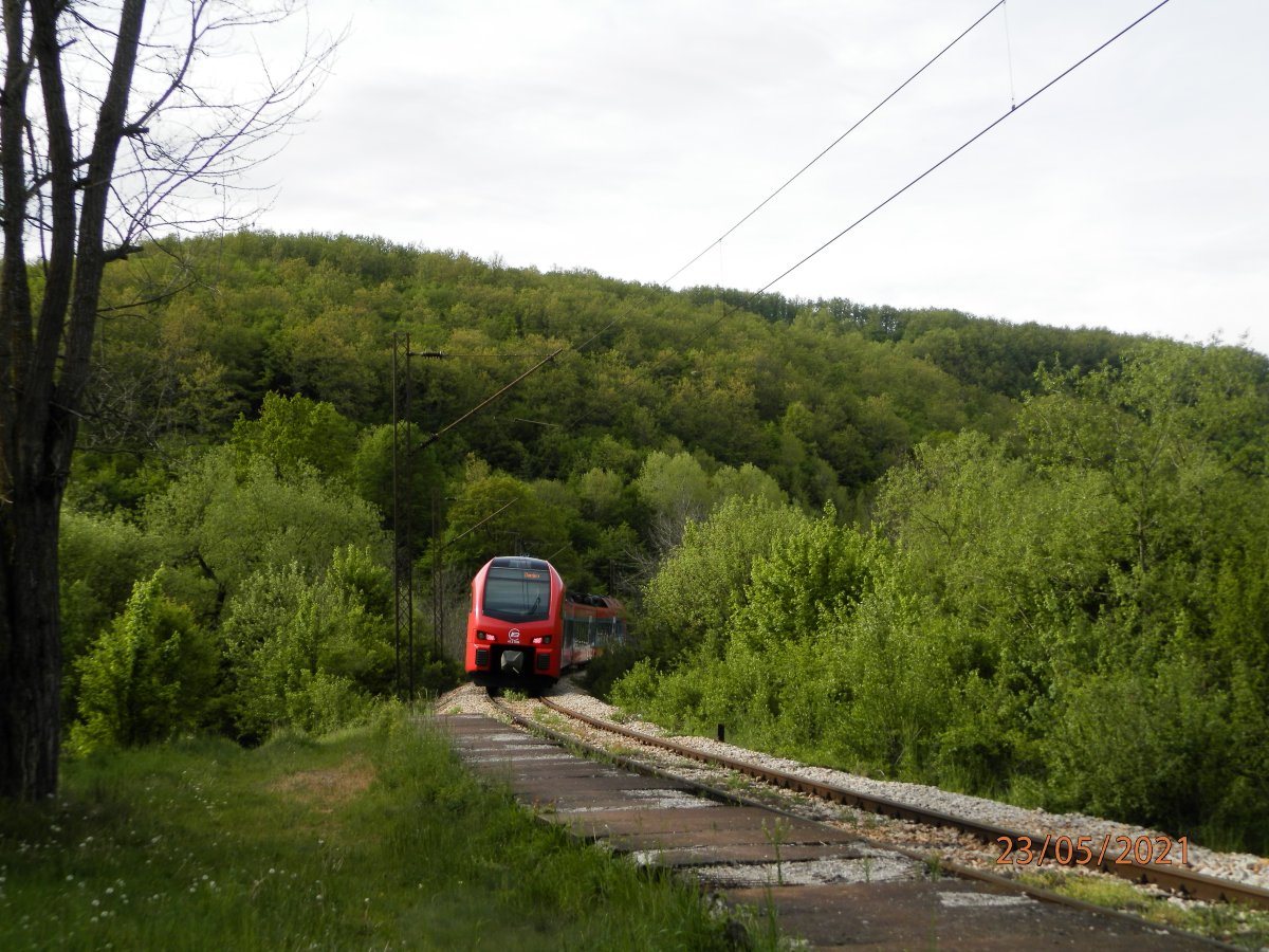 P5230038.JPG