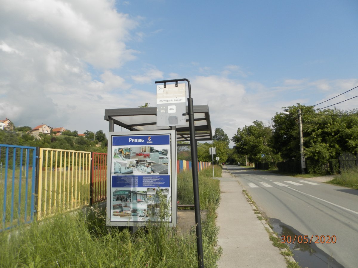 P5300038.JPG