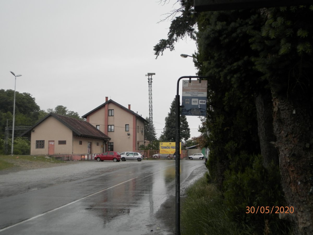 P5300041.JPG
