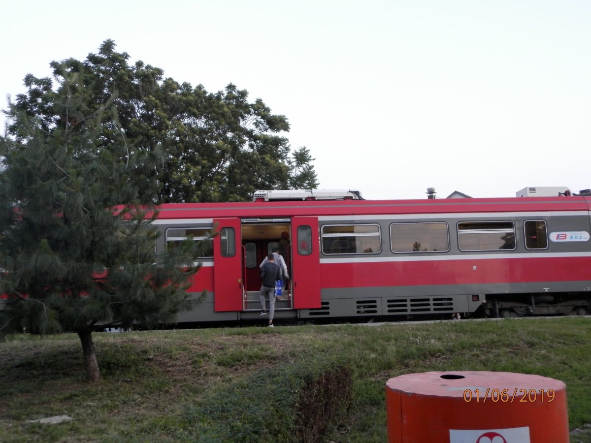 P6010085.JPG