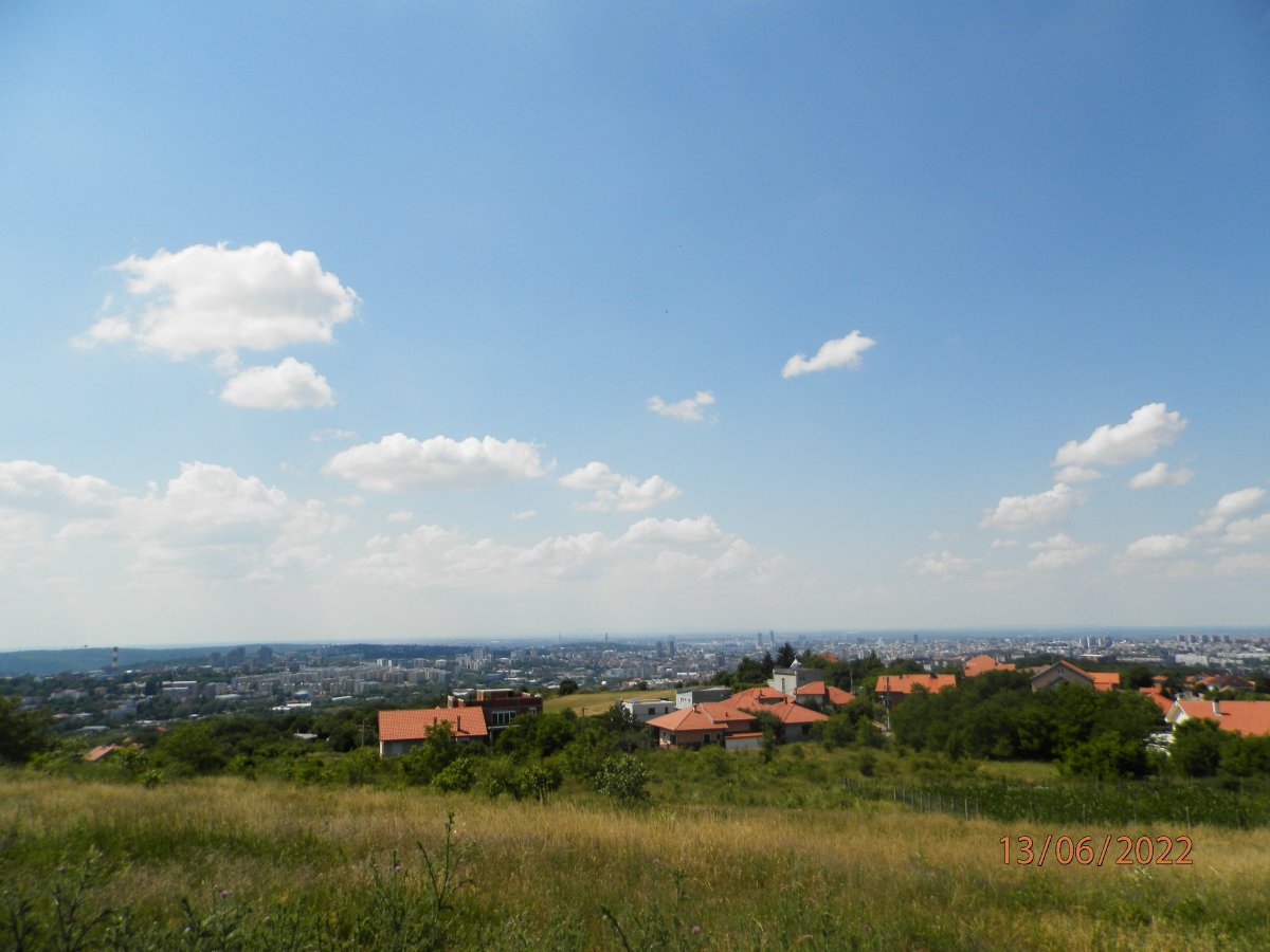 P6130344.JPG
