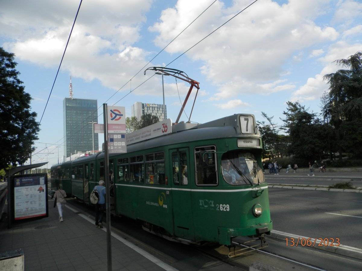 P6131932.JPG