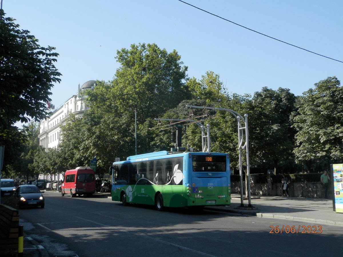 P6262064.JPG
