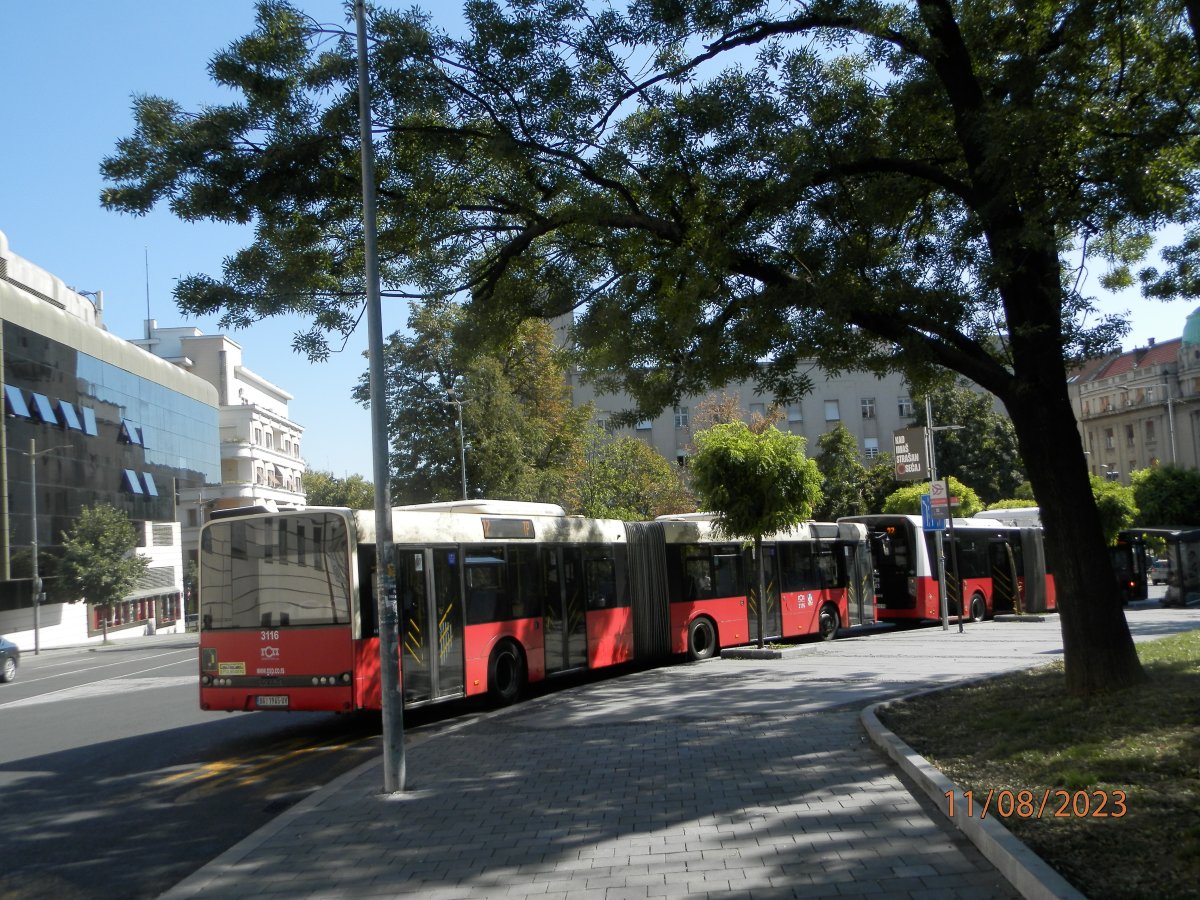 P8112172.JPG