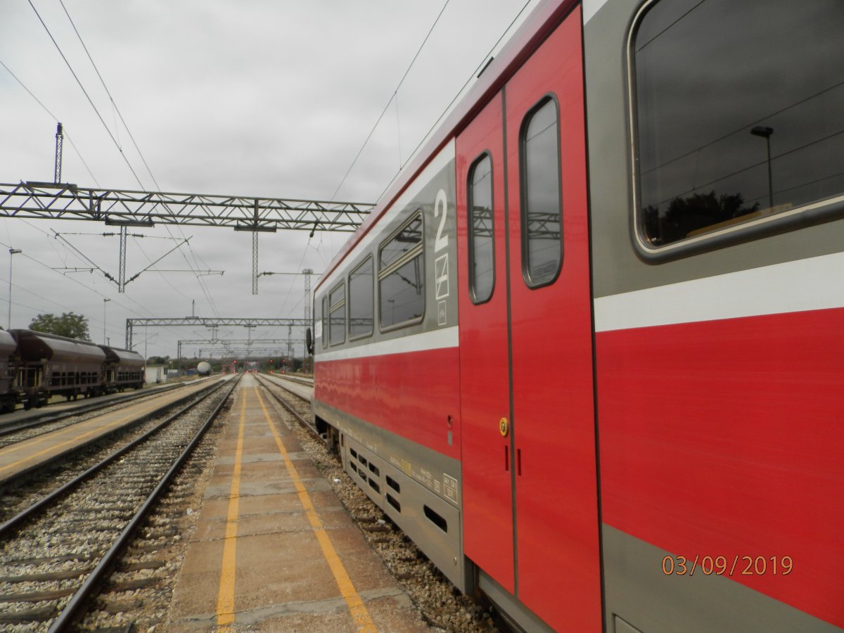 P9030006.JPG