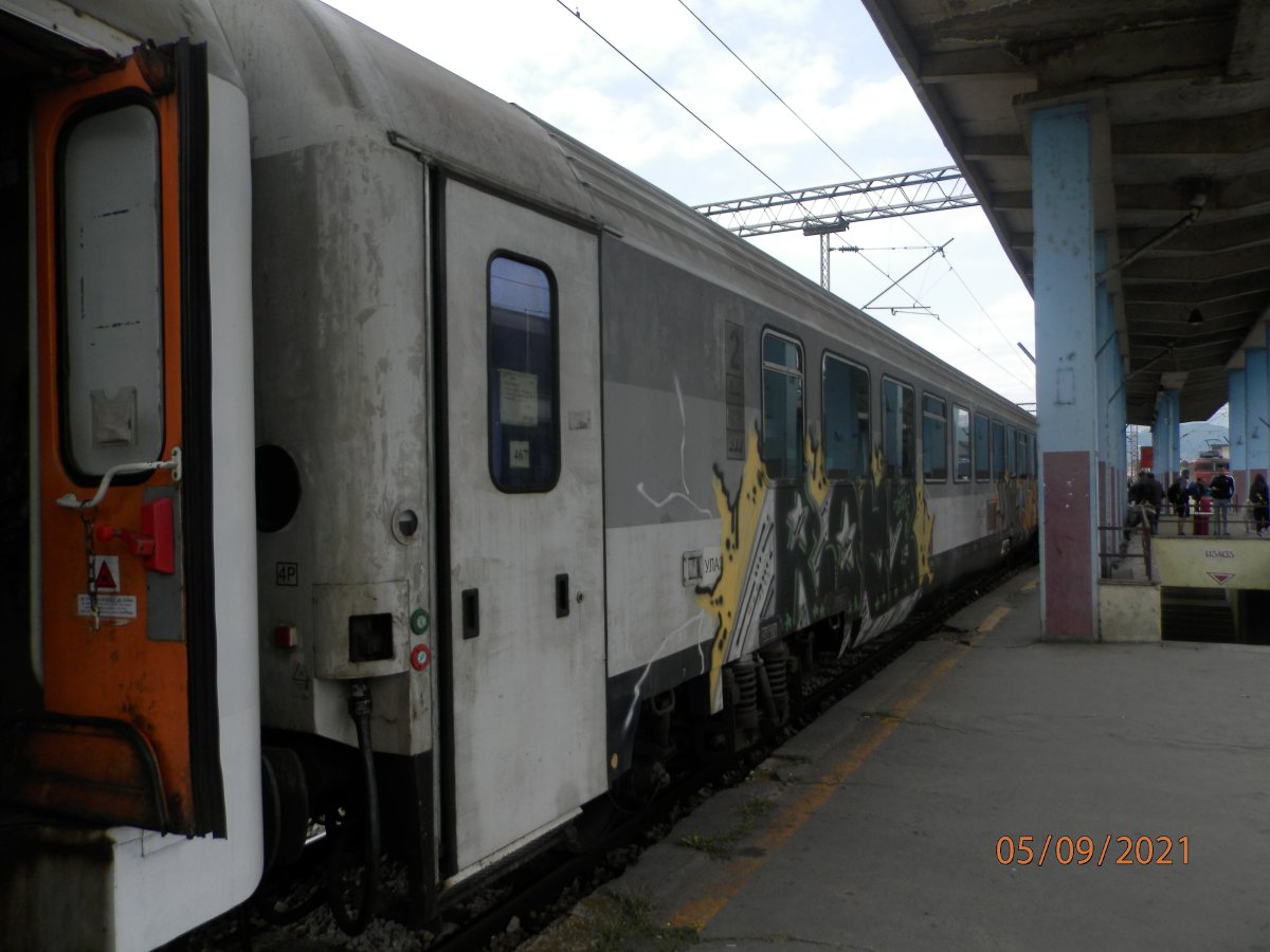 P9050063.JPG