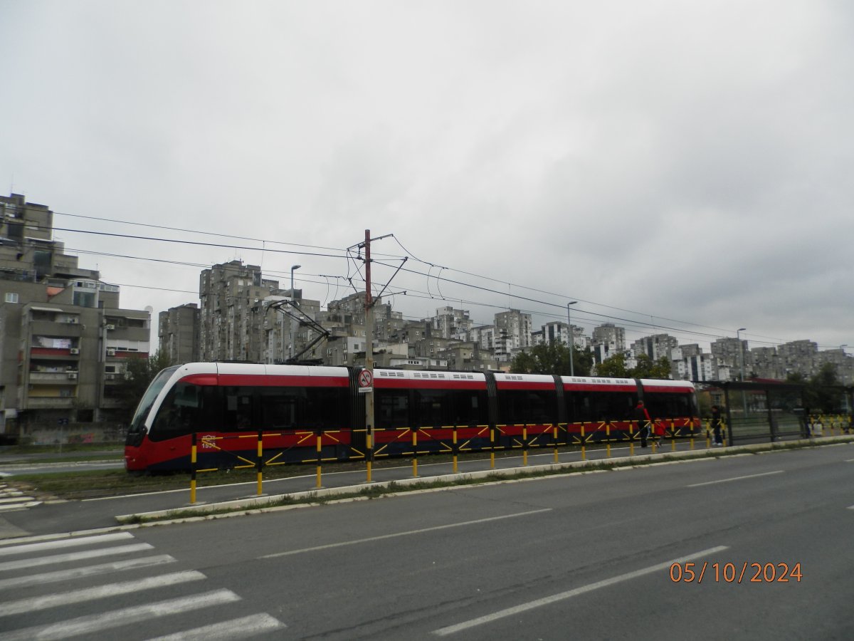 PA053553.JPG