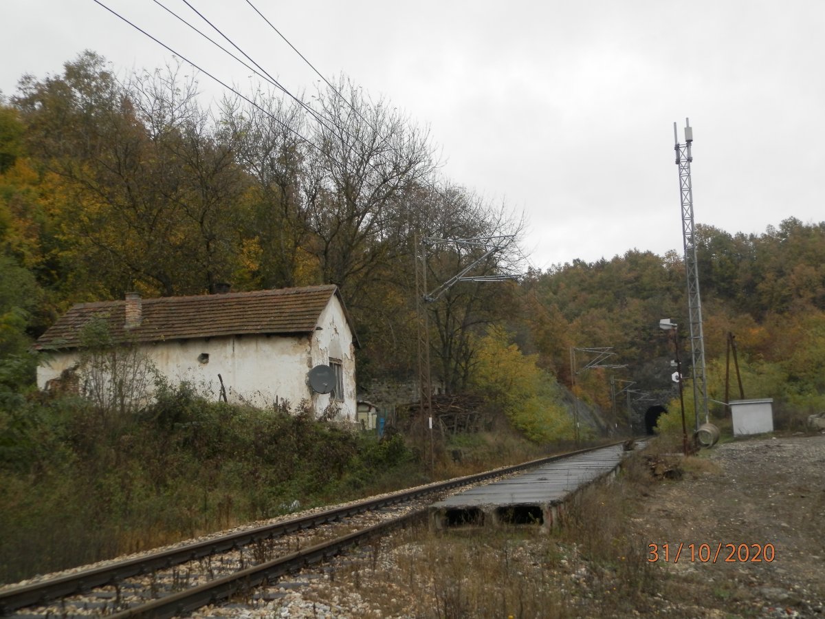 PA310020.JPG