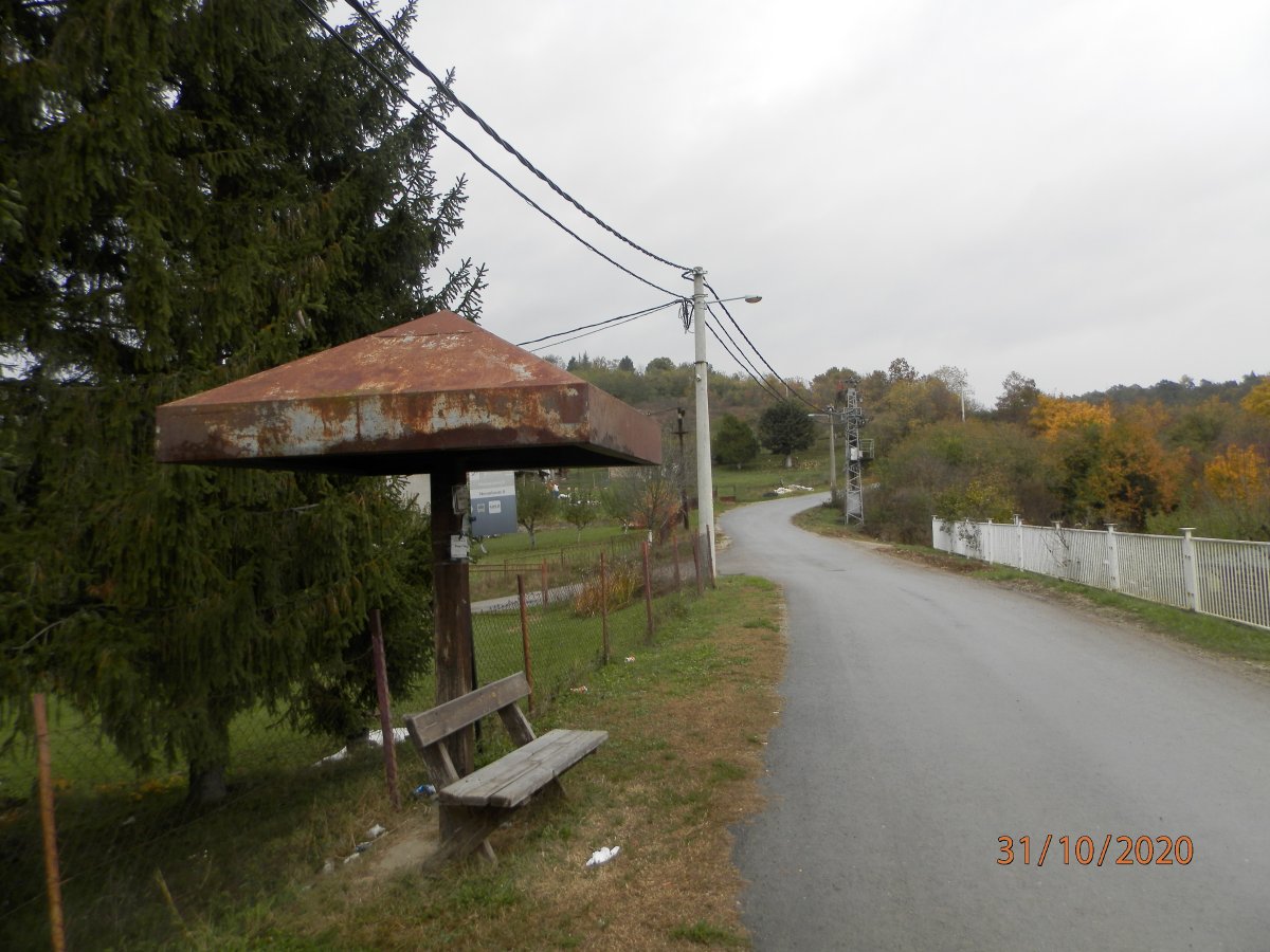 PA310021.JPG