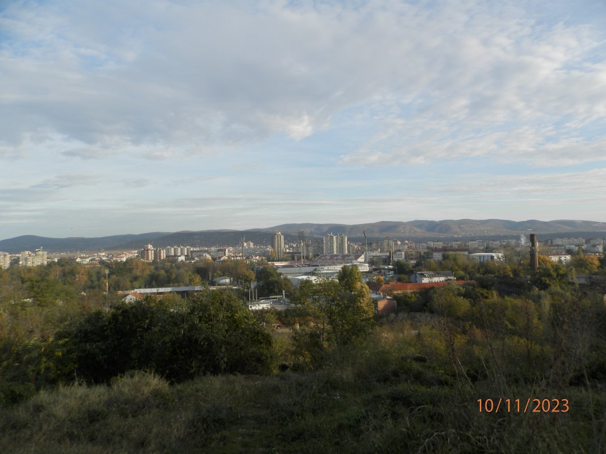 PB102221.JPG