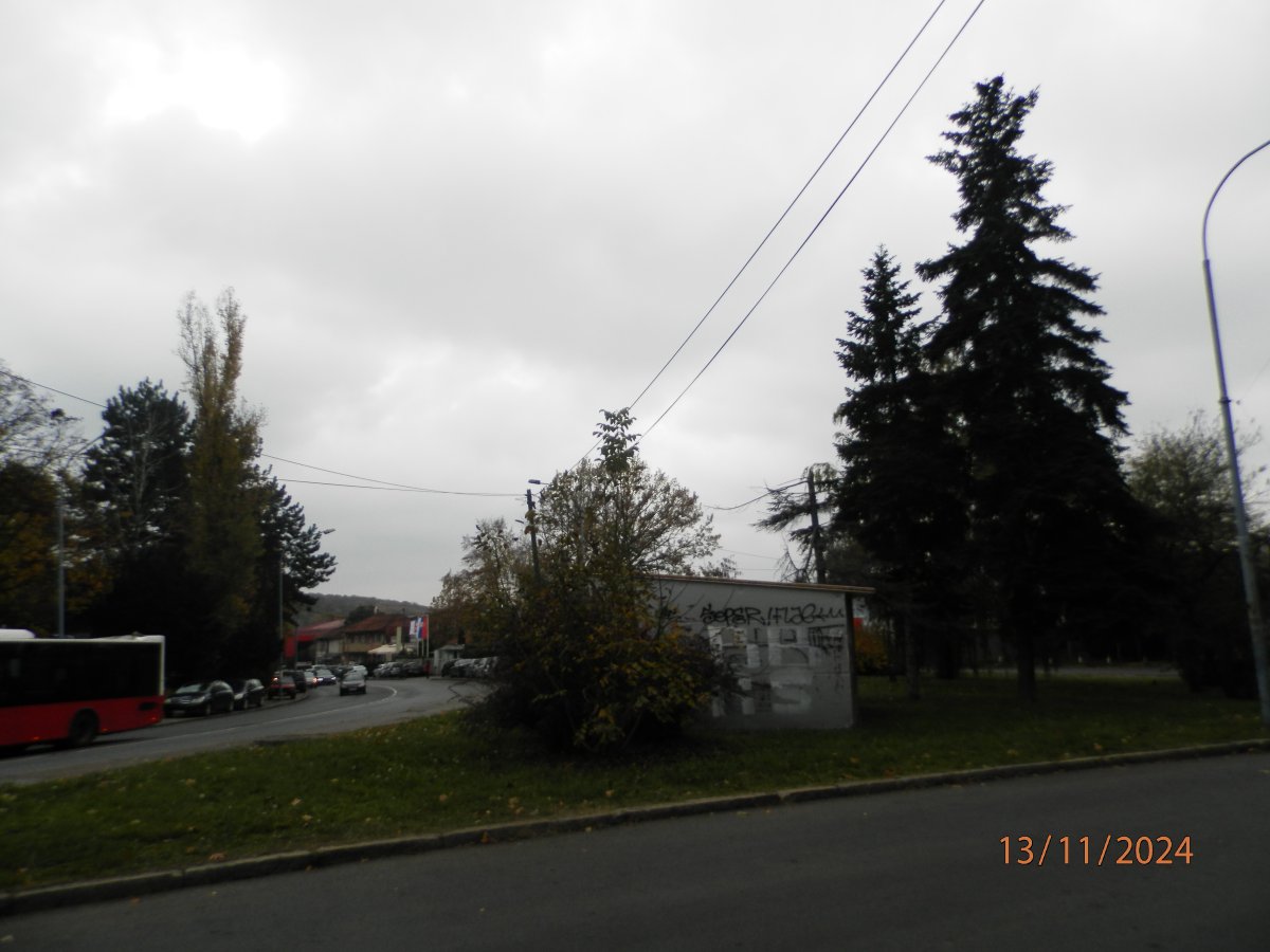 PB133783.JPG