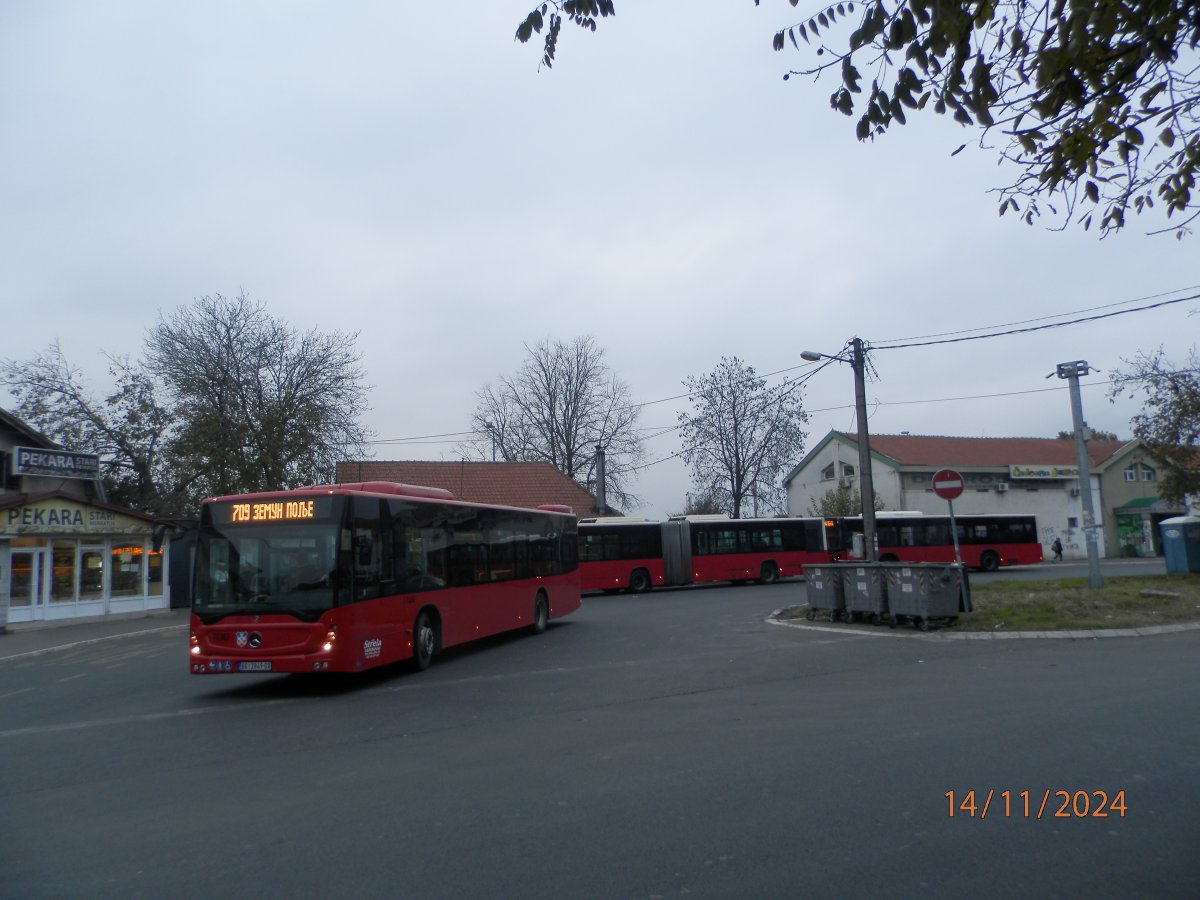 PB143840.JPG