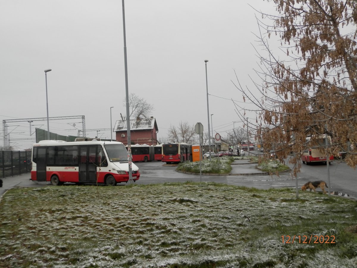 PC121278.JPG
