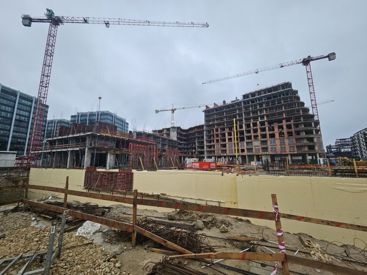 Pupin novembar 25.jpg