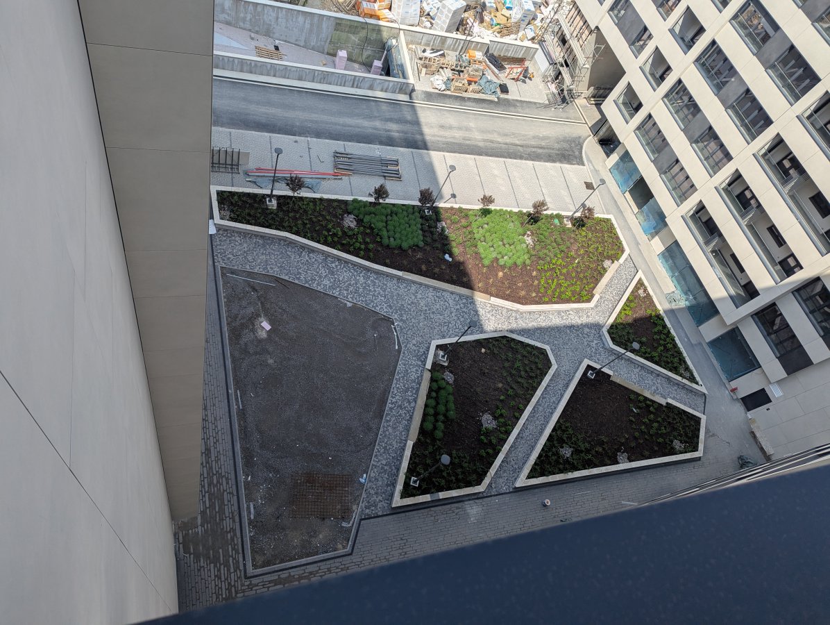 PXL_20250425_112146365.MP.jpg