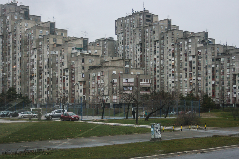 ser-2013-02-03-5064.jpg