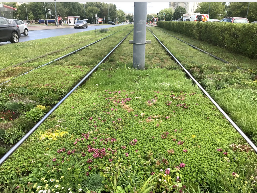 tram.jpg
